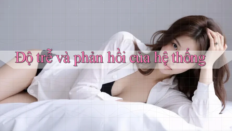 Độ trễ và phản hồi của hệ thống Độ trễ và phản hồi của hệ thống