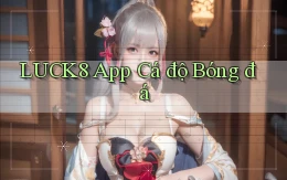 luck8 app cá độ bóng đá