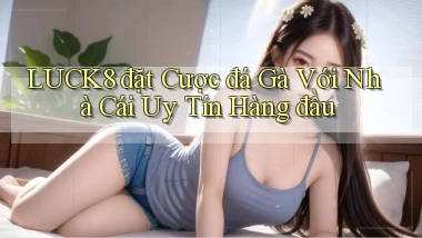 luck8  đặt cược đá gà với nhà cái uy tín hàng đầu