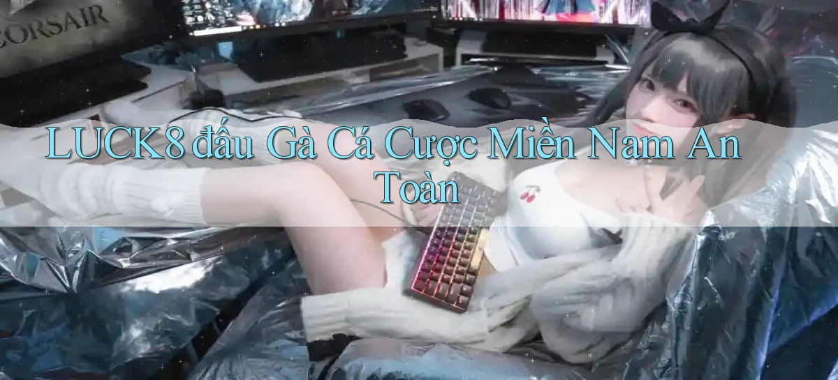 luck8  đấu gà cá cược miền nam an toàn
