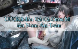 luck8  đấu gà cá cược miền nam an toàn
