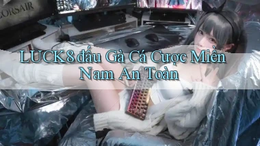 luck8  đấu gà cá cược miền nam an toàn
