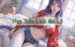 Nạp tiền Link đại lý